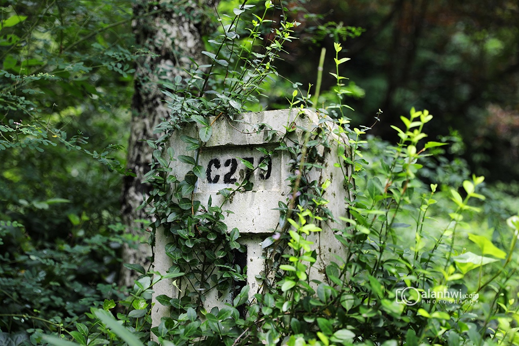 盘山公路边的里程碑