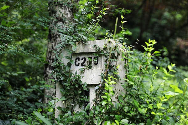 香山风景区